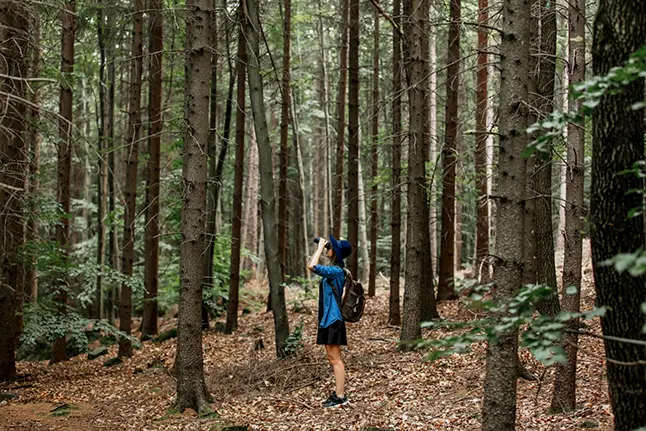 バードウォッチングツアーに参加してみよう