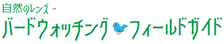 自然のレンズ — バードウォッチング・フィールドガイド