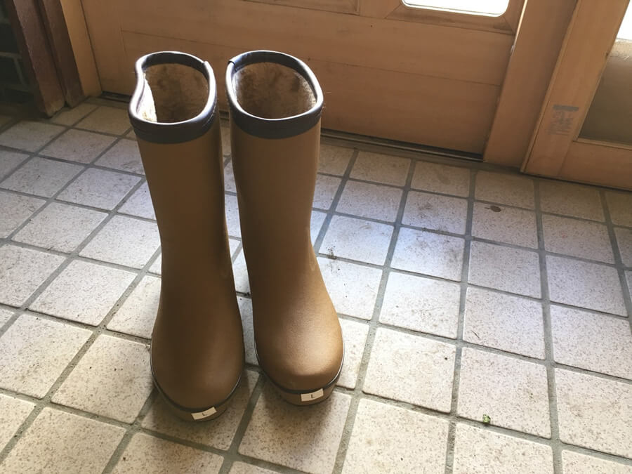 バードウォッチング用の靴